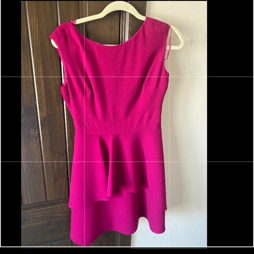 Fuchsia Dress